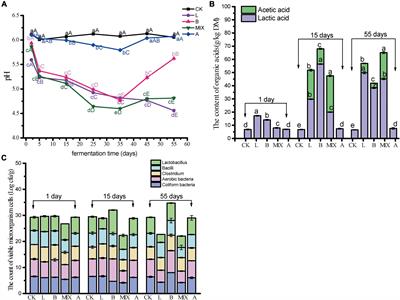 Mixed Bacillus subtilis and Lactiplantibacillus plantarum-fermented feed improves gut microbiota and immunity of Bamei piglet